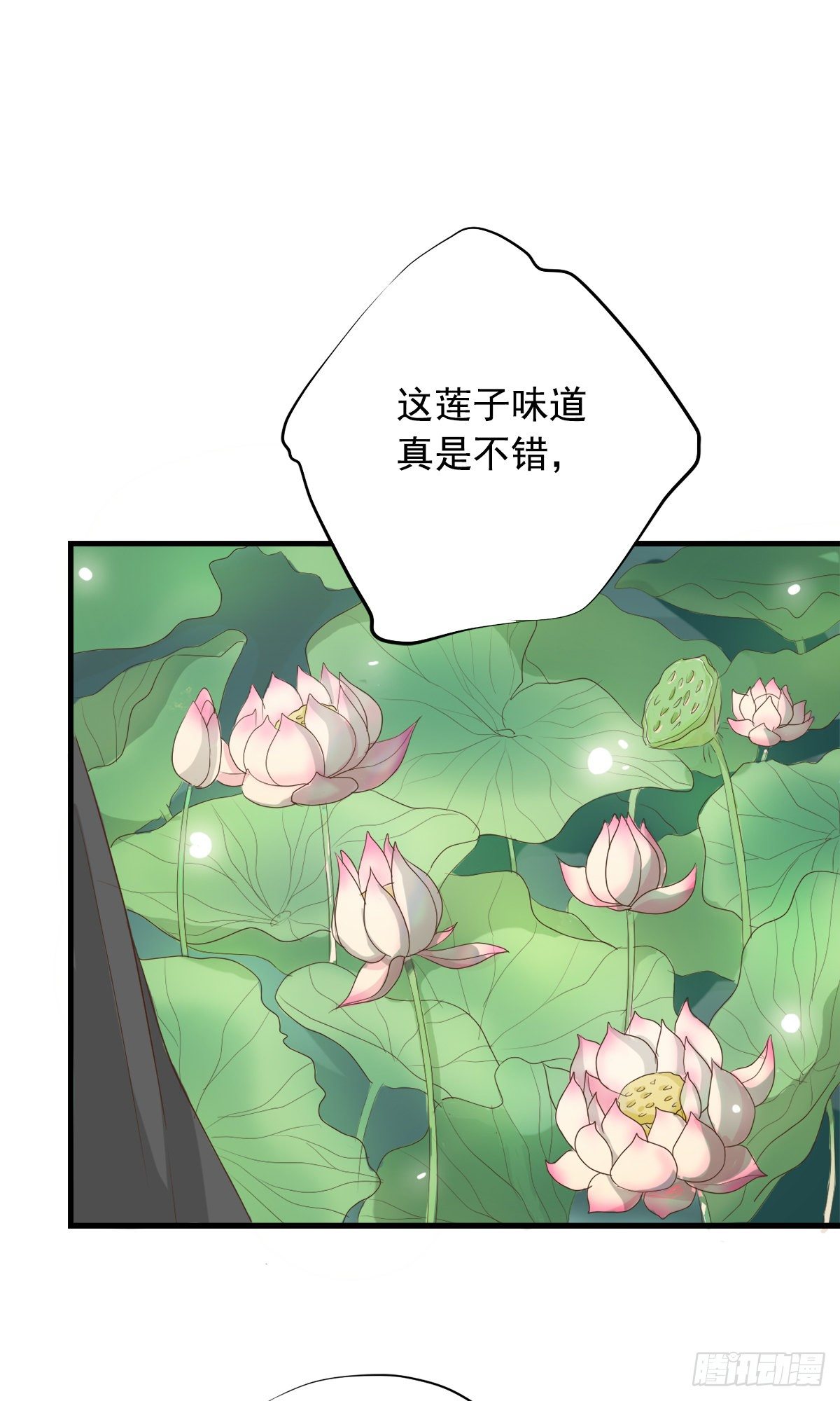 第三十七话(1/2)-第44话