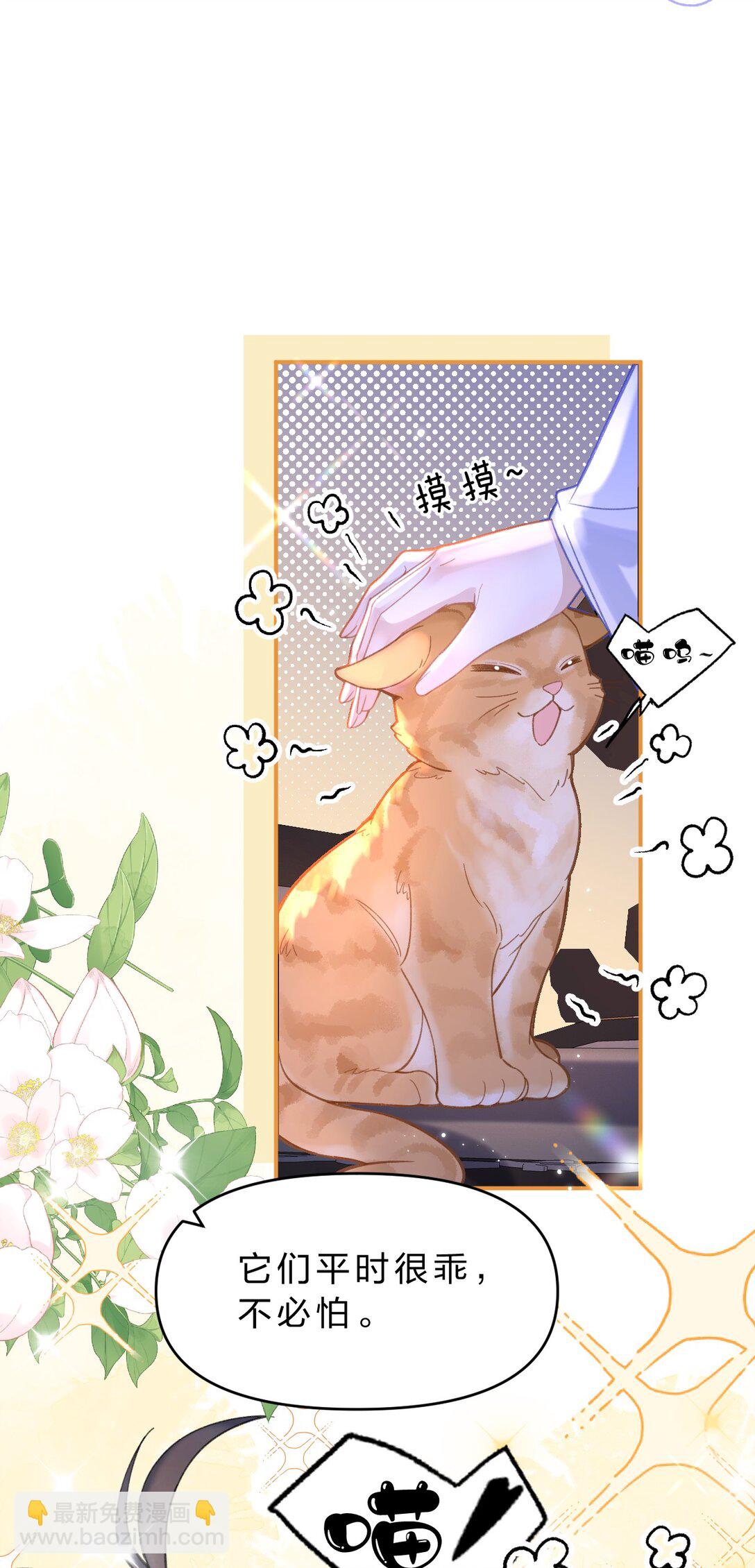 17 小人鱼的&ldquo;噩梦&rdquo;&mdash;&mdash;猫猫突击！-第20话