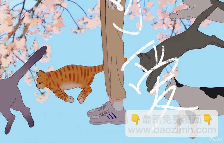 19 下 晚安-第20话