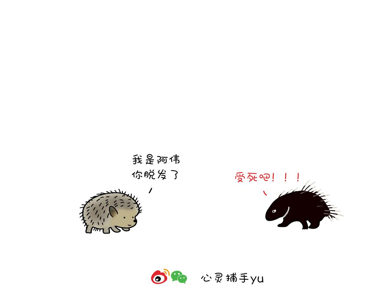 動物聯盟 - 我每天想的都是…… - 5