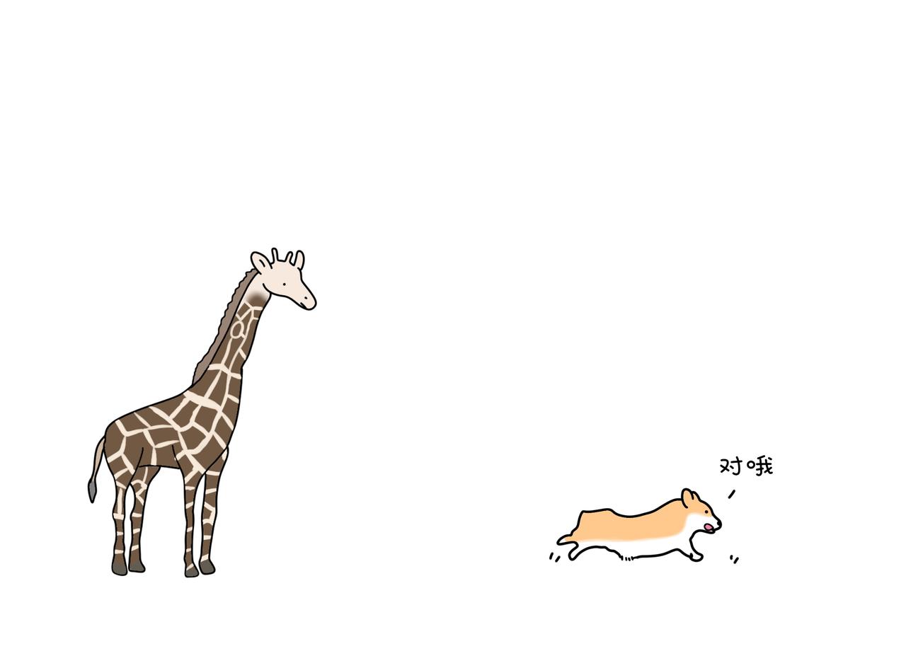 動物聯盟 - 我每天想的都是…… - 3