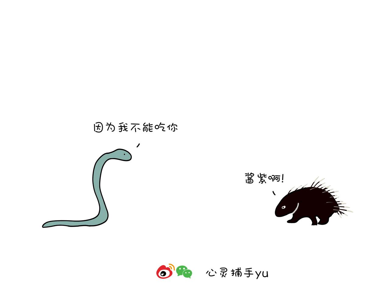 動物聯盟 - 我每天想的都是…… - 3