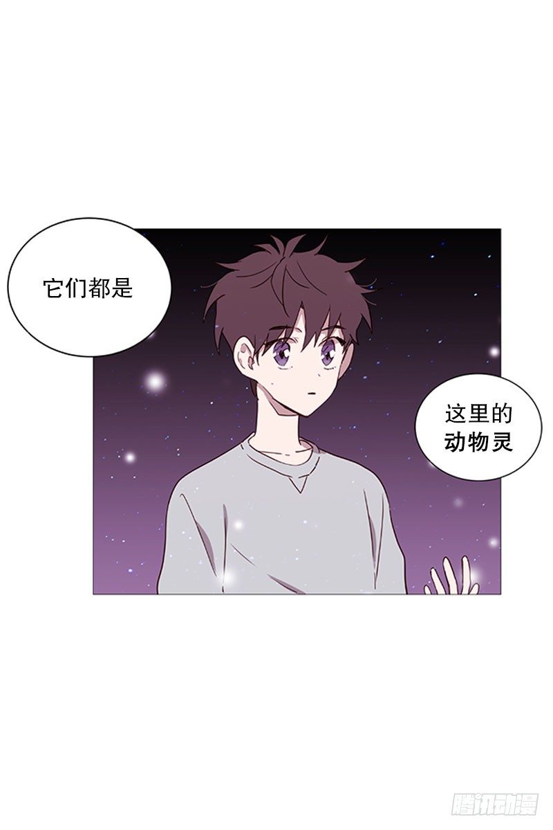 动物们的阴间-第16话