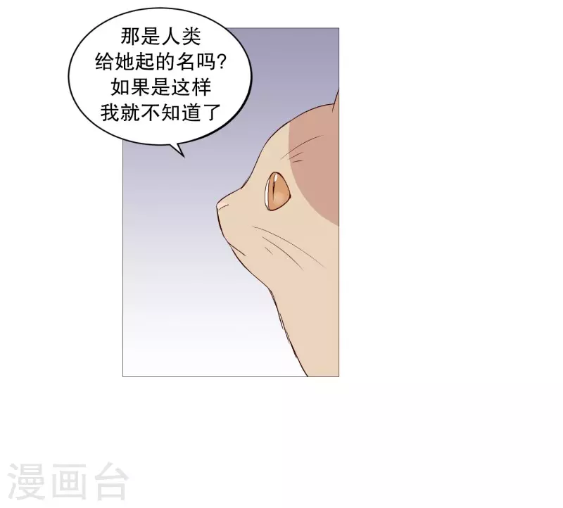 第116话 公园-第116话