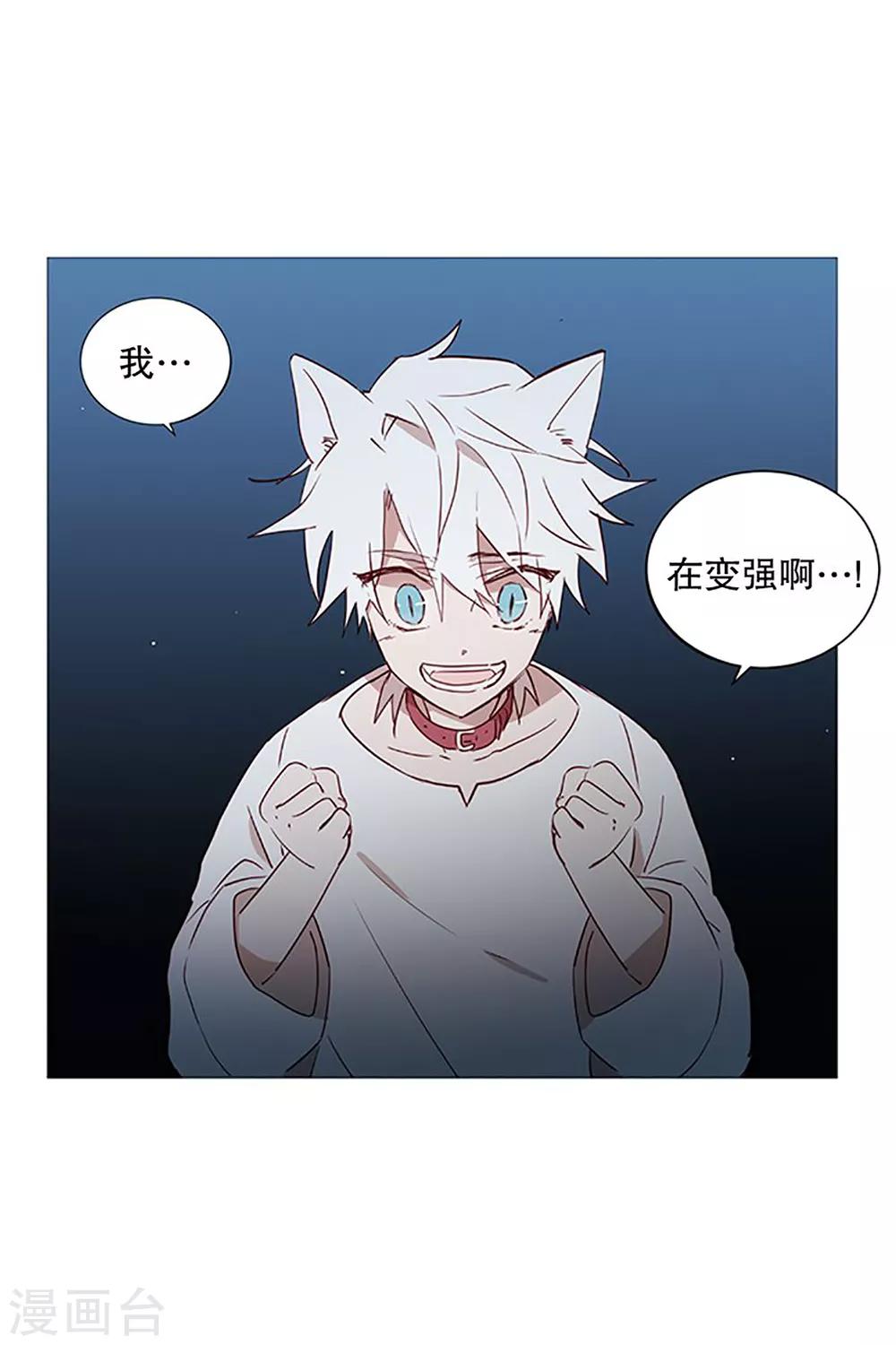 第20话 盘算-第20话