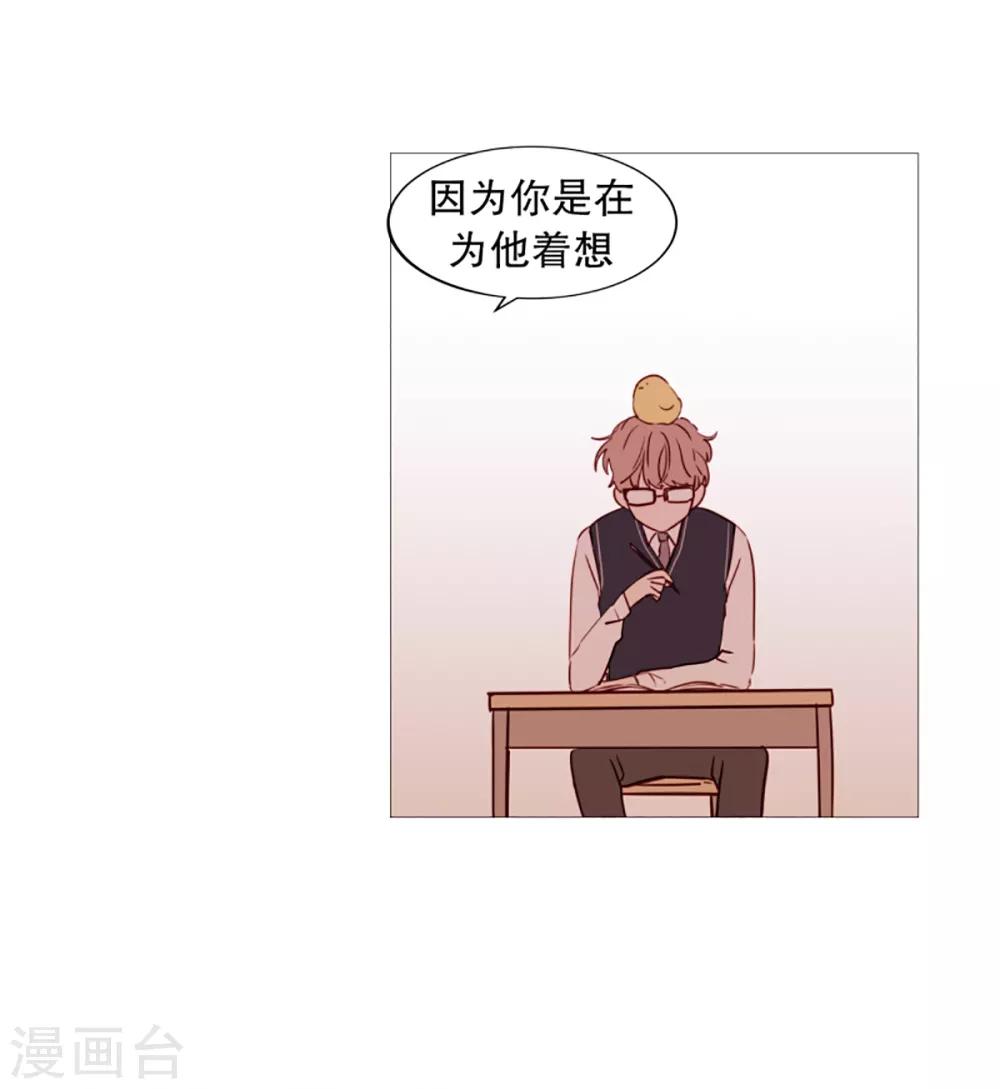 第40话 小鸡灵的选择1-第40话