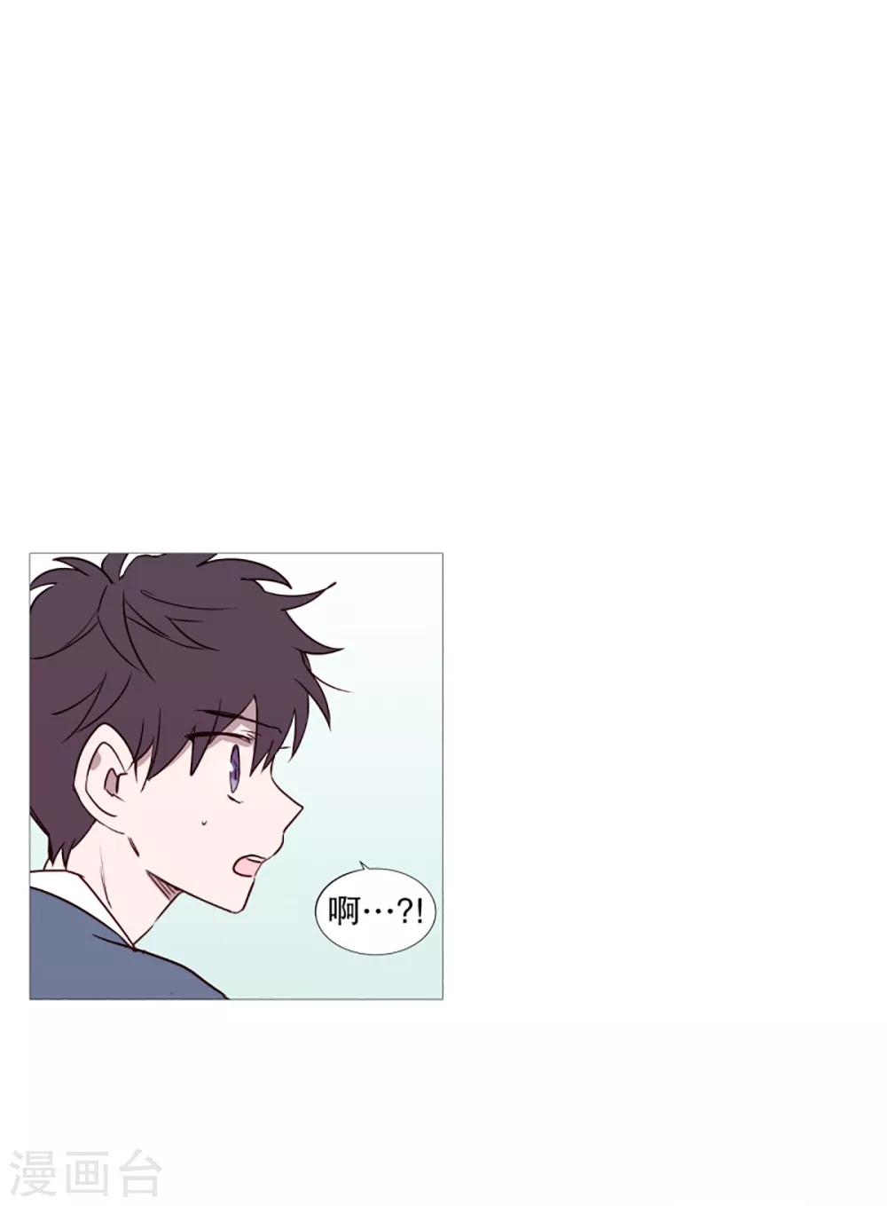 第40话 小鸡灵的选择1-第40话