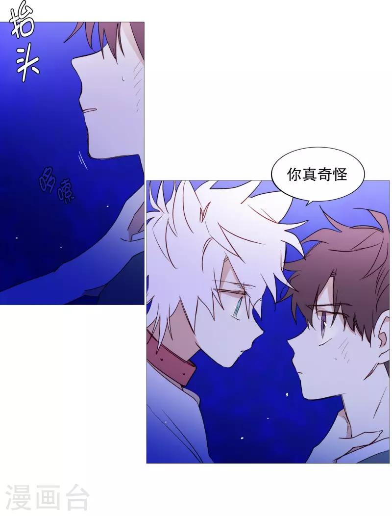 第62话 紫灵出现-第62话