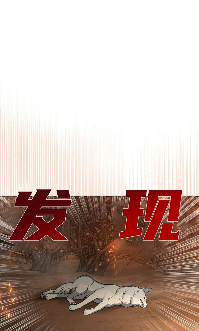 動物們的公主大人 - 第24話(1/2) - 4