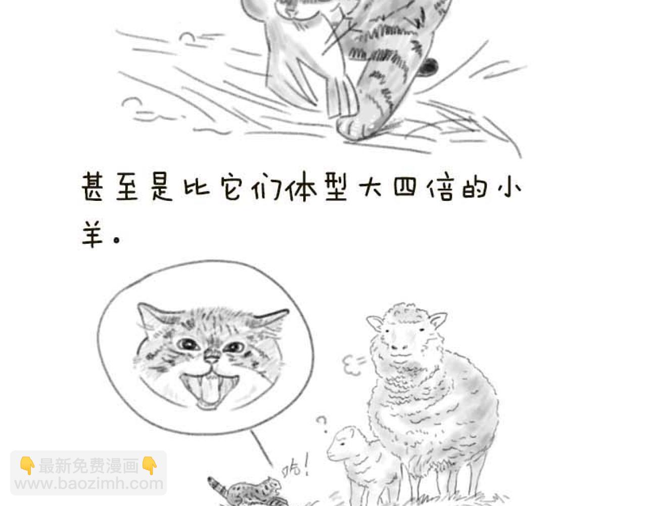 動物爲什麼這麼可愛？ - 世界上最致命的貓1 - 4