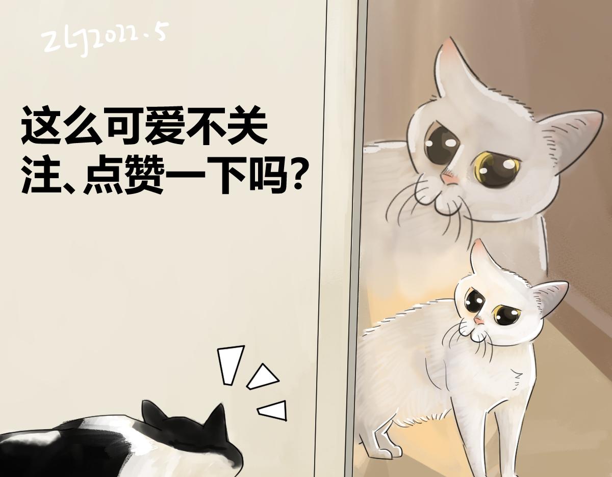 動物爲什麼這麼可愛？ - 怎麼看着就呼嚕了 - 2