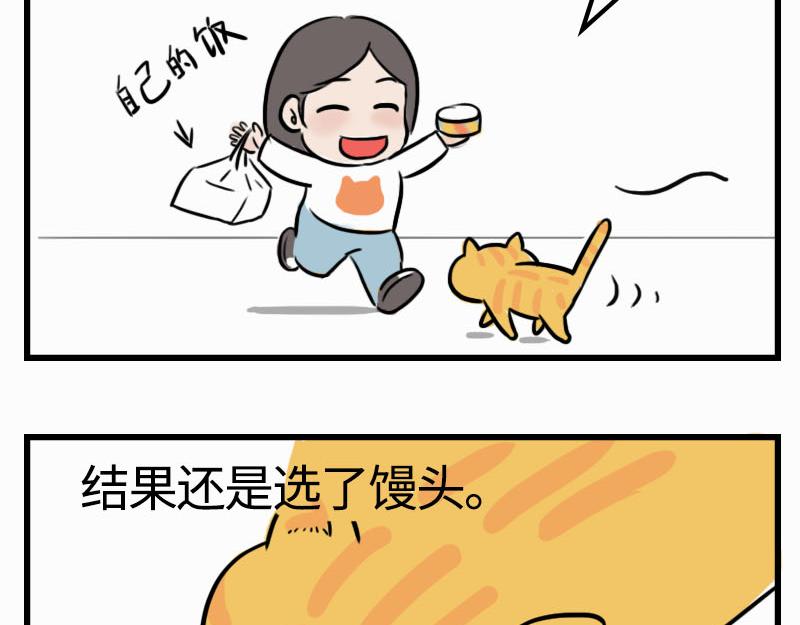 動物爲什麼這麼可愛？ - 世界霸主小黑 - 6