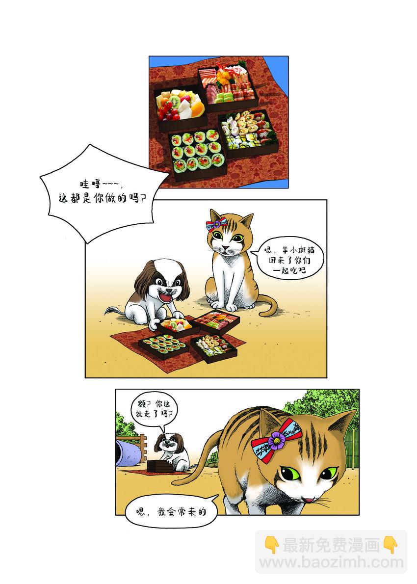 動物園真相 - 第一季 第12集 盒飯 - 3