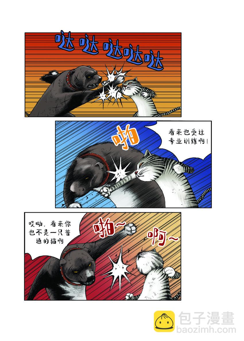 動物園真相 - 第一季 第14集 以智取勝 - 2