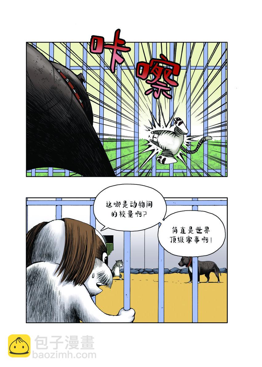 動物園真相 - 第一季 第14集 以智取勝 - 3