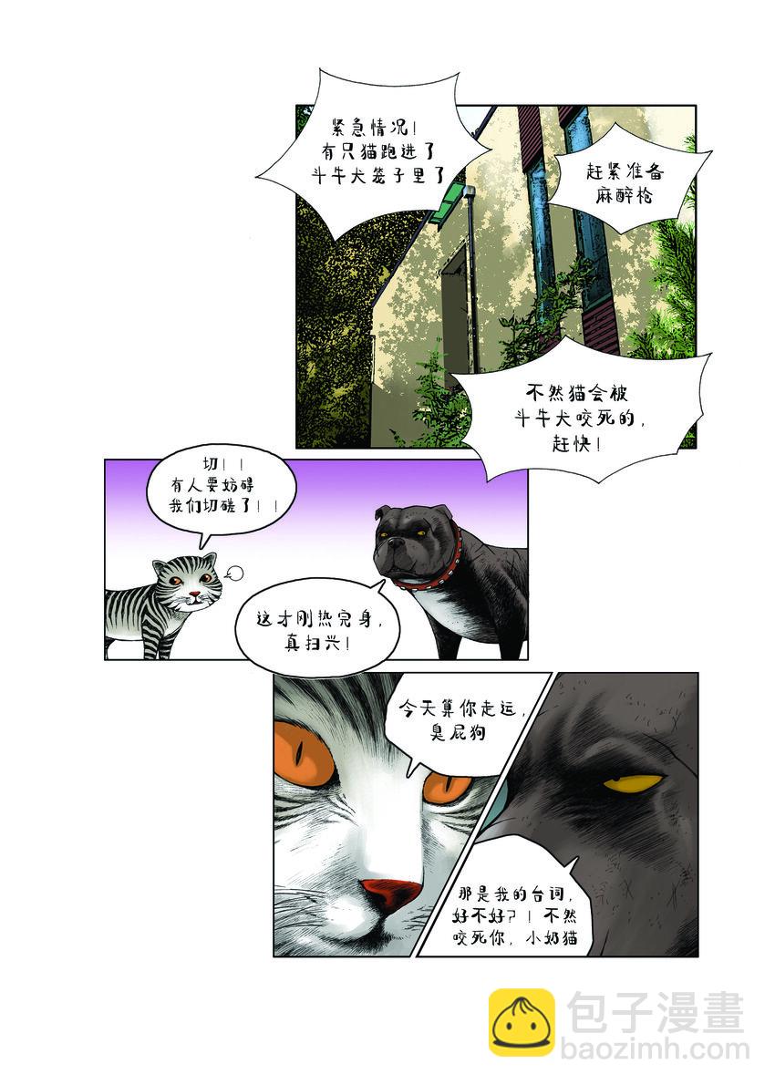 動物園真相 - 第一季 第14集 以智取勝 - 3