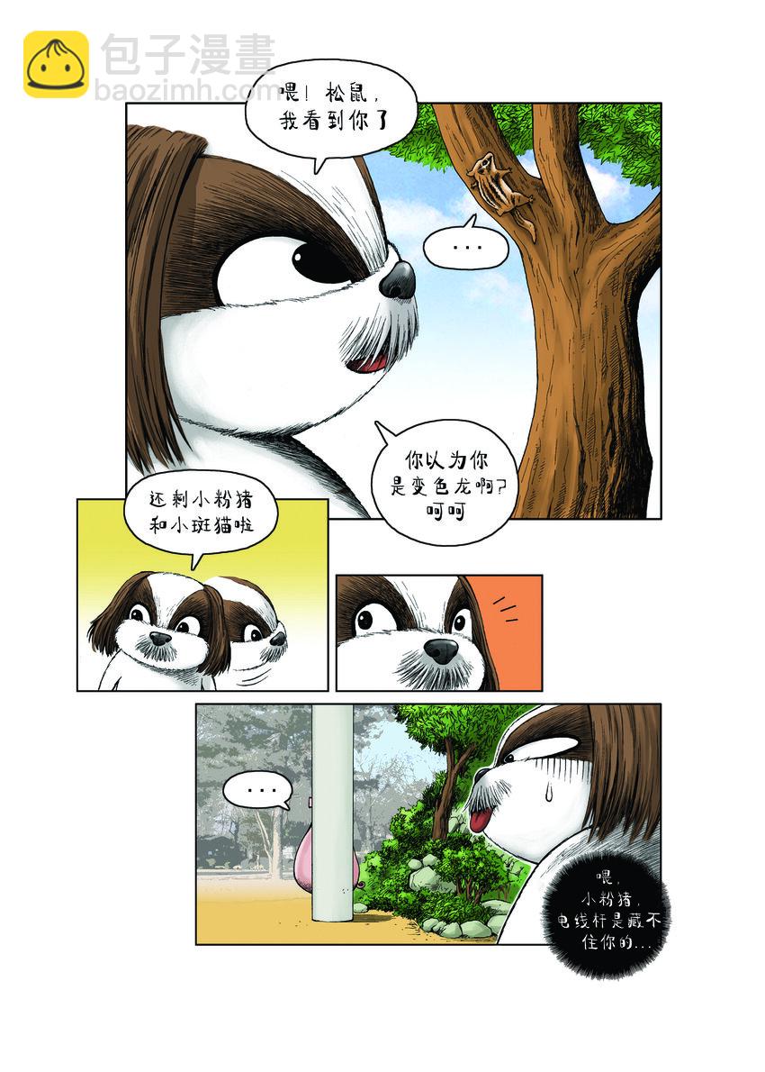 動物園真相 - 第一季 第16集 捉迷藏 - 1