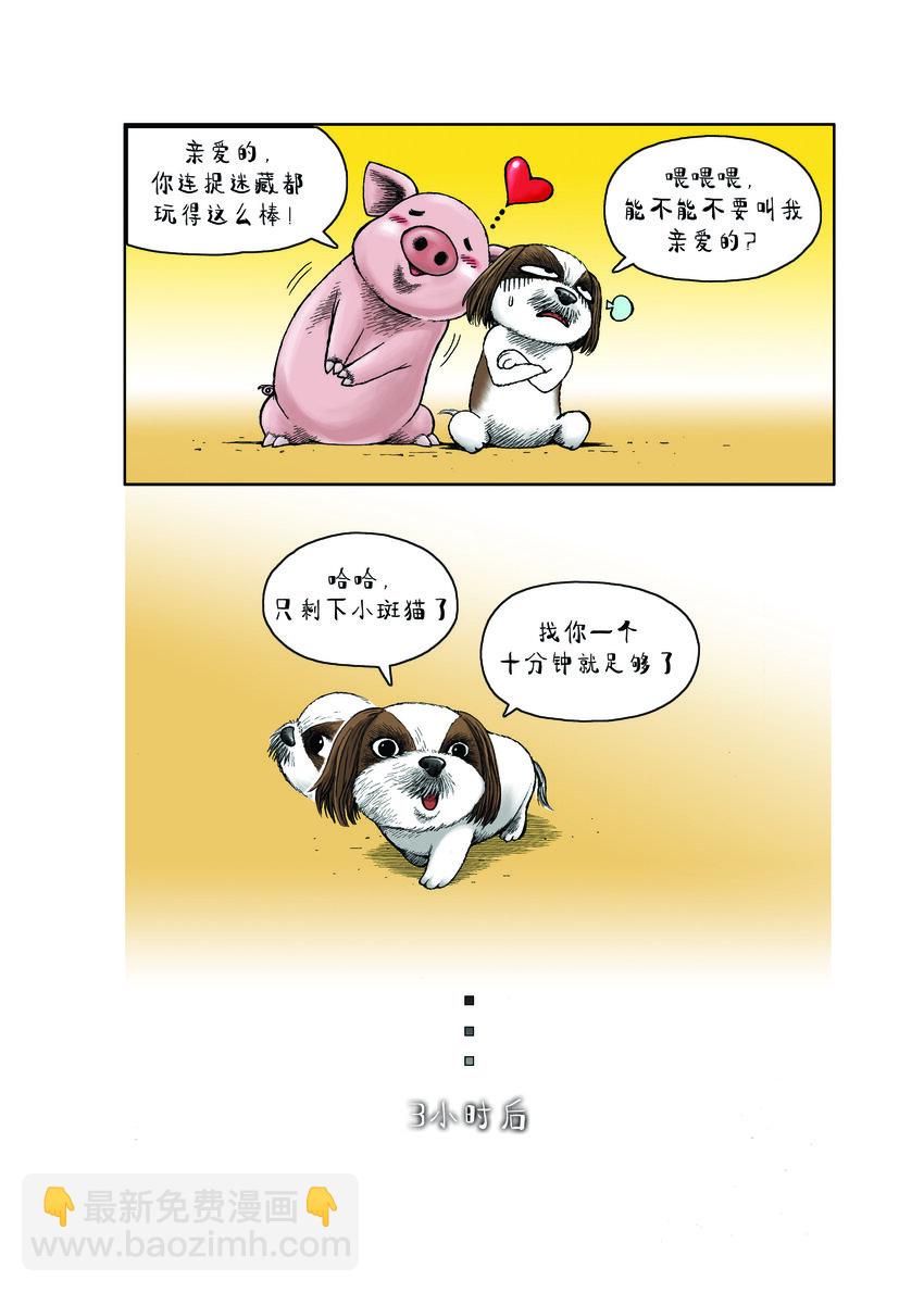 動物園真相 - 第一季 第16集 捉迷藏 - 2