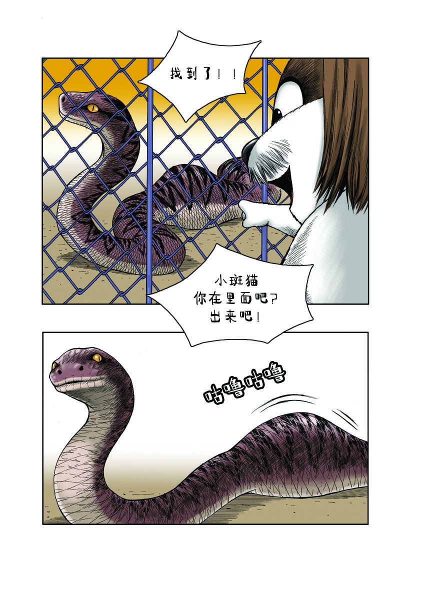 動物園真相 - 第一季 第16集 捉迷藏 - 2