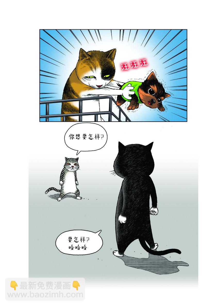 動物園真相 - 第一季 第20集 強者的下跪 - 1