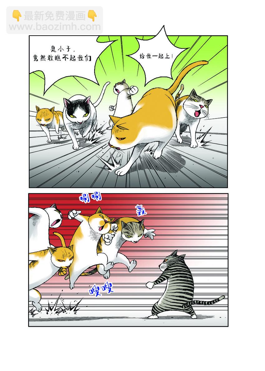 動物園真相 - 第一季 第20集 強者的下跪 - 2