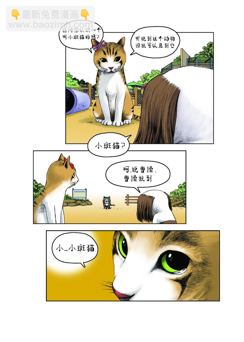 動物園真相 - 第一季 第10集 小甜甜 - 2