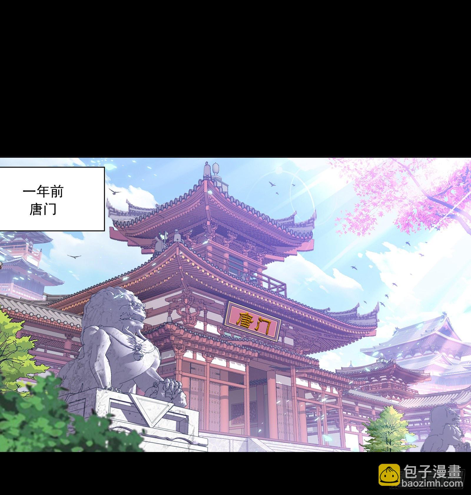 斗罗大陆 - 第296话 暴雨梨花针（1） - 2