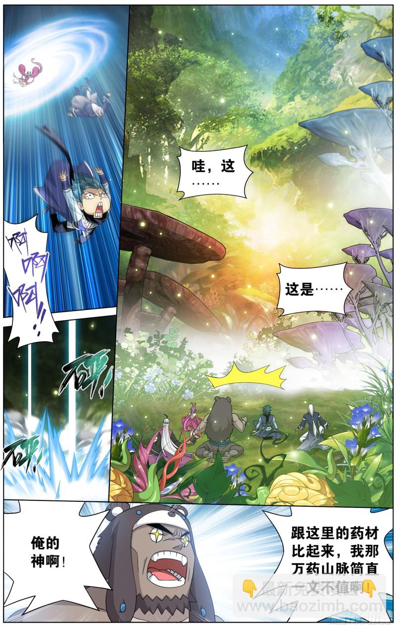 斗破苍穹 - 308回 魂婴果 - 1