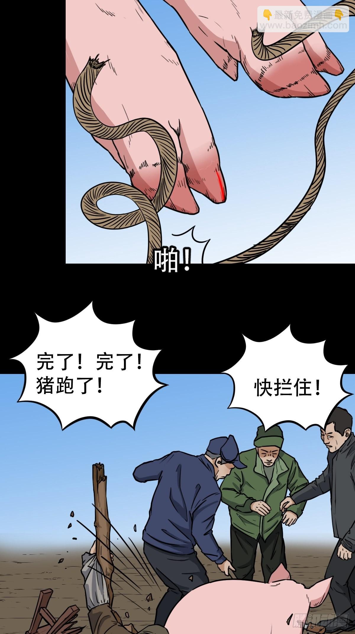 23.jpg