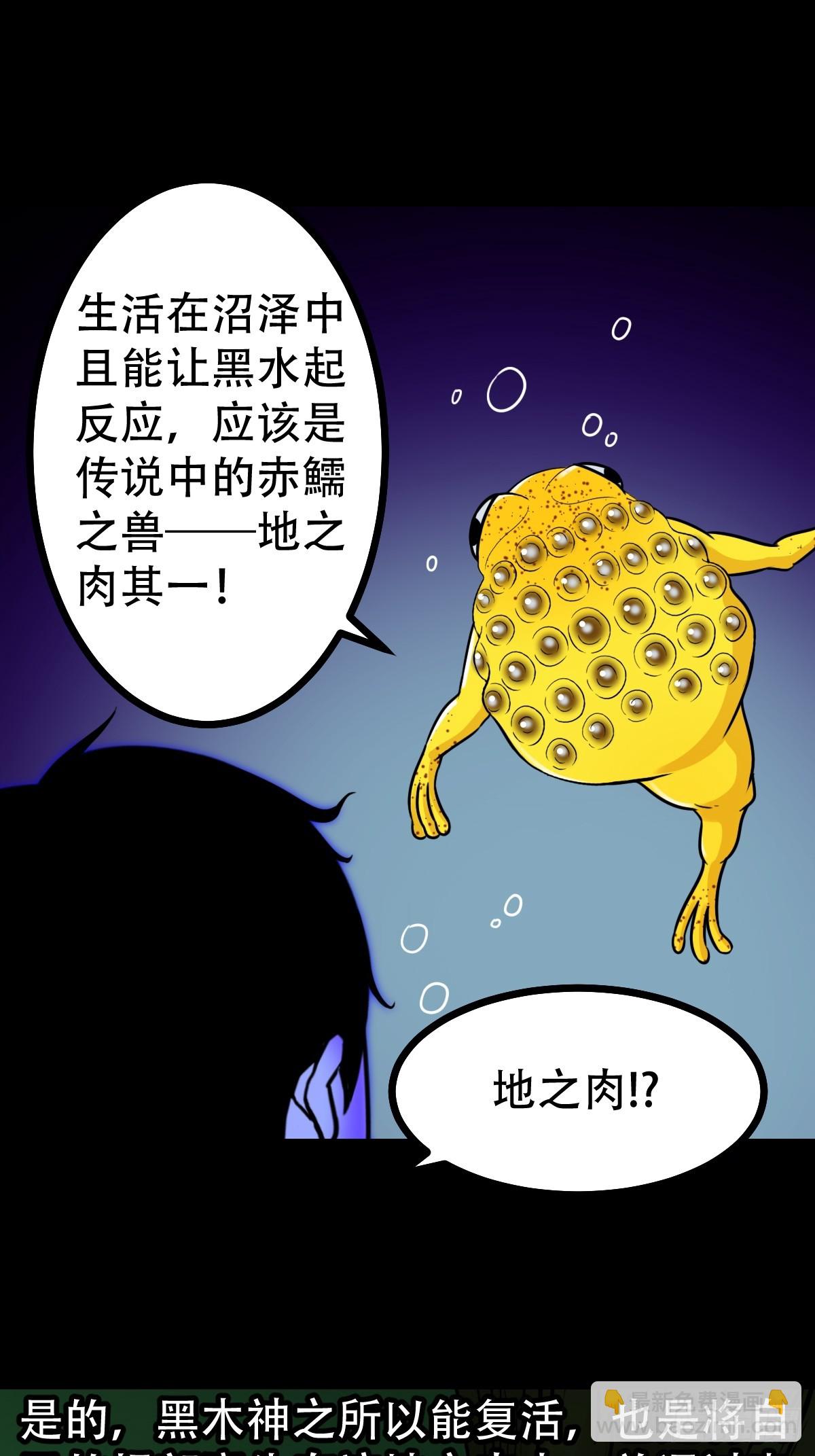 29.jpg