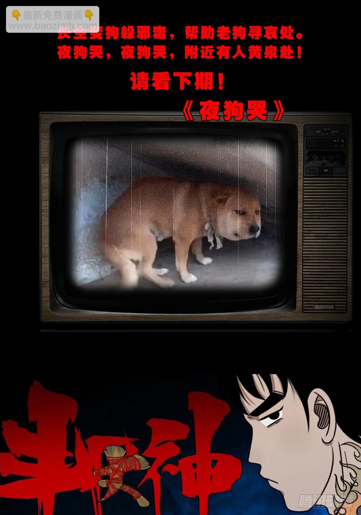 72.jpg