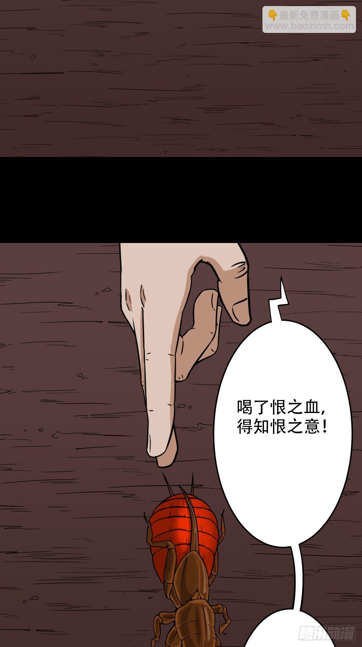 40.jpg
