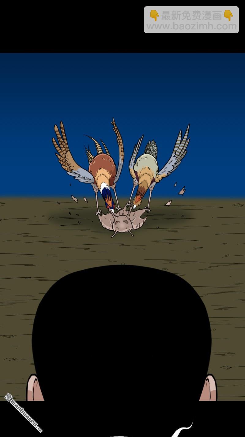 27.jpg