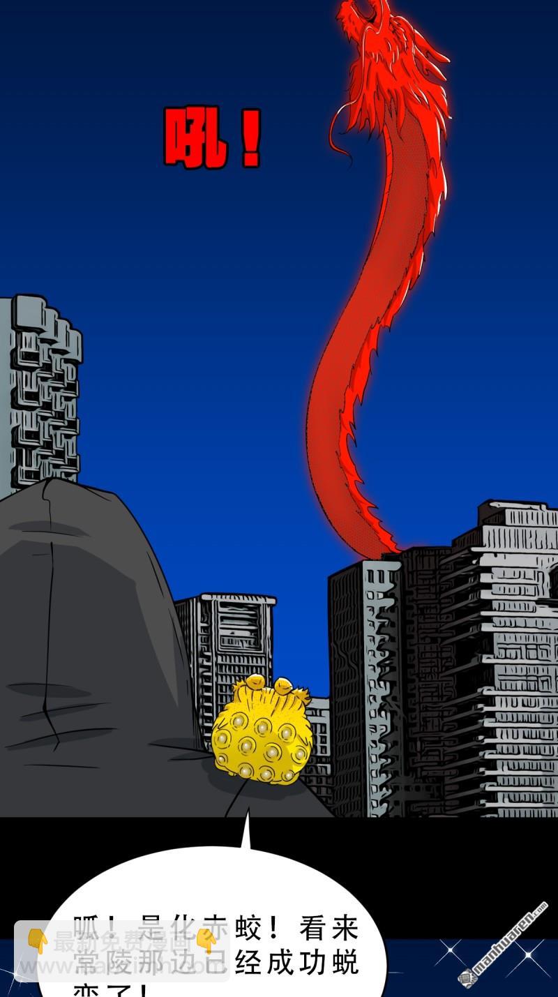 第351回 众天仙齐贺长生会&middot;上(1/2)-第352话