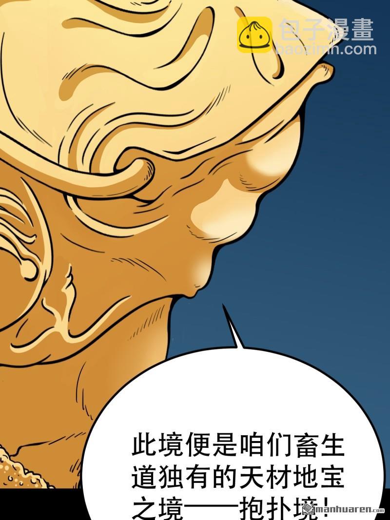 第377回 百宝岛(1/2)-第378话