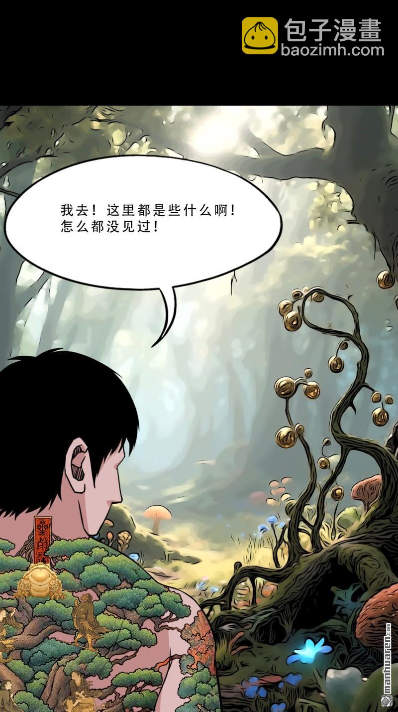 第377回 百宝岛(1/2)-第378话