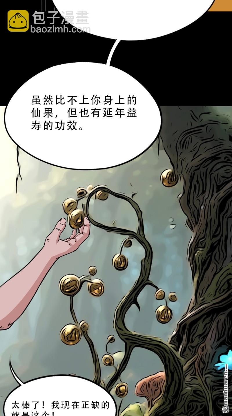 第377回 百宝岛(1/2)-第378话