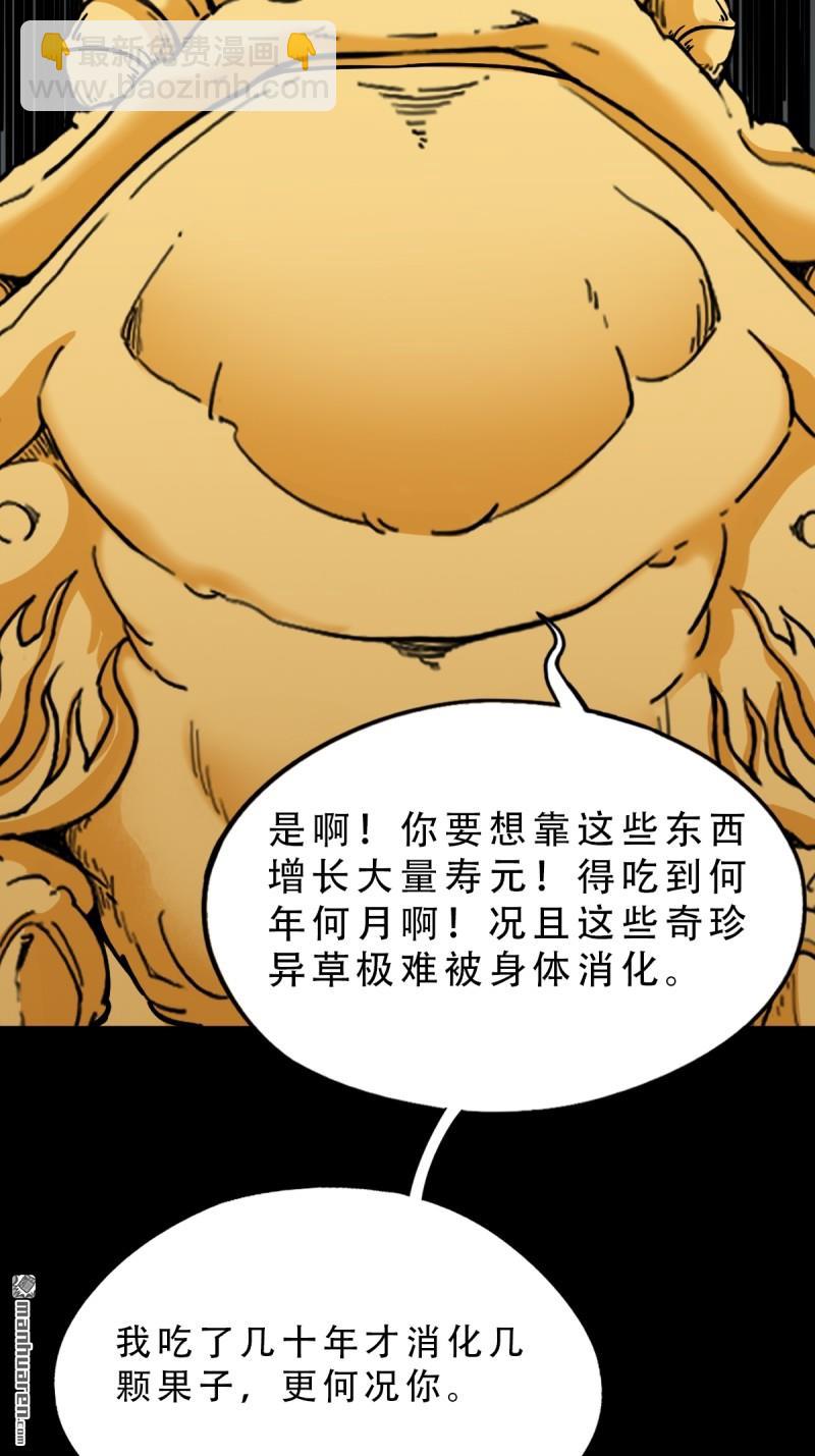 第377回 百宝岛(1/2)-第378话