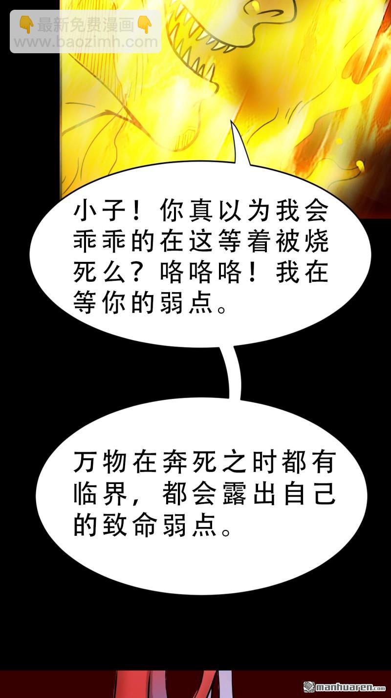 第377回 百宝岛(1/2)-第378话