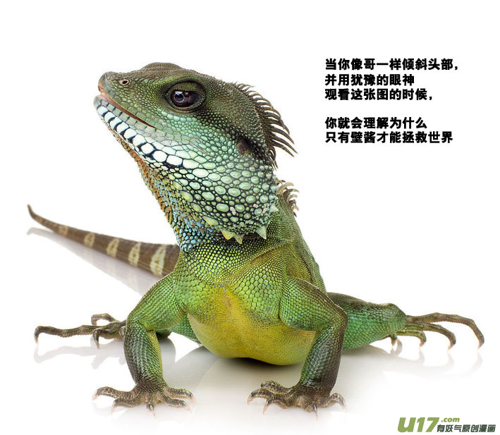 40）一起进入-第40话