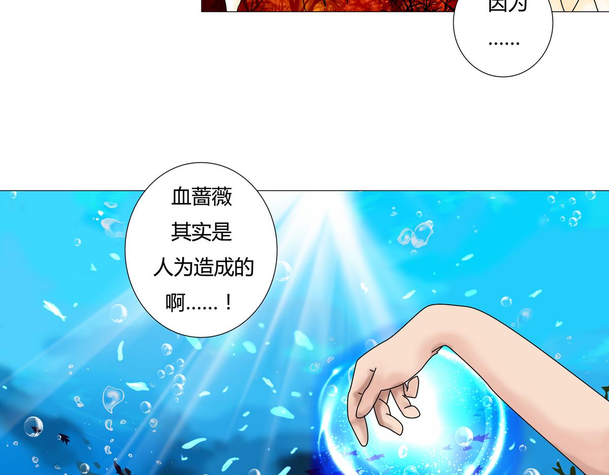 第四章 血蔷薇二-第36话