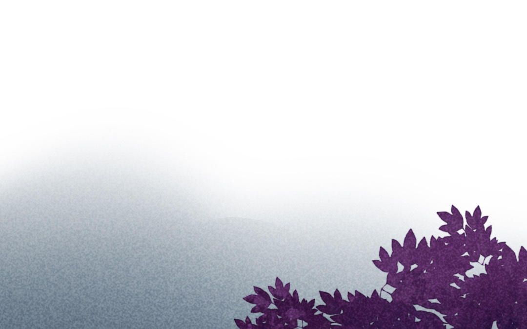 第19话  伤疤(1/4)-第20话