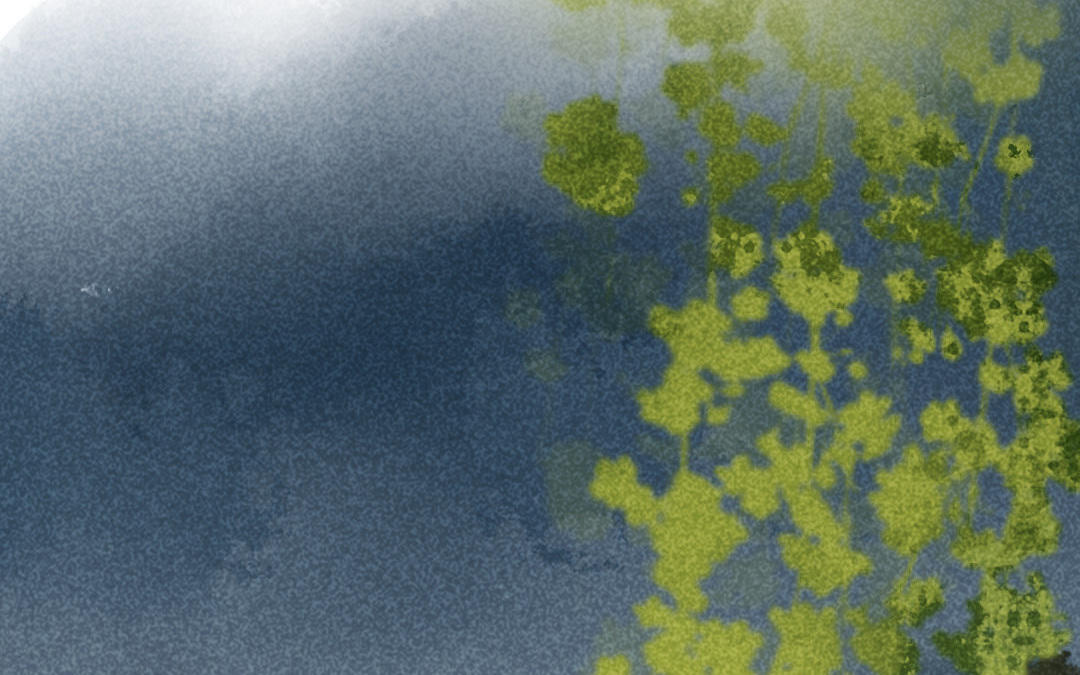 第19话  伤疤(1/4)-第20话