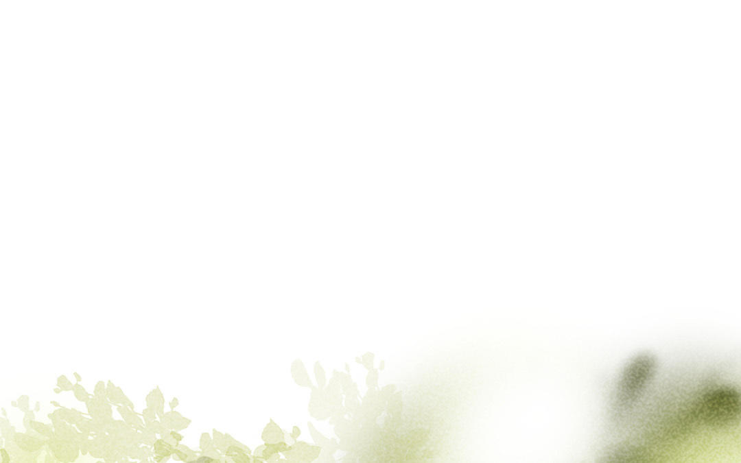 第31话  以牙还牙(1/5)-第32话