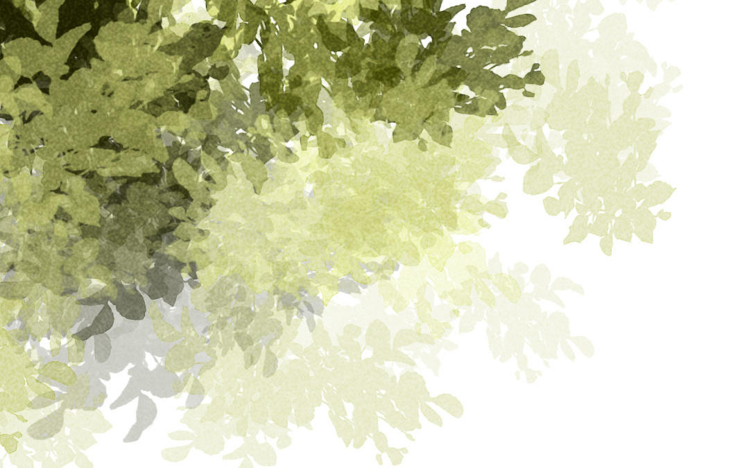 第31话  以牙还牙(1/5)-第32话