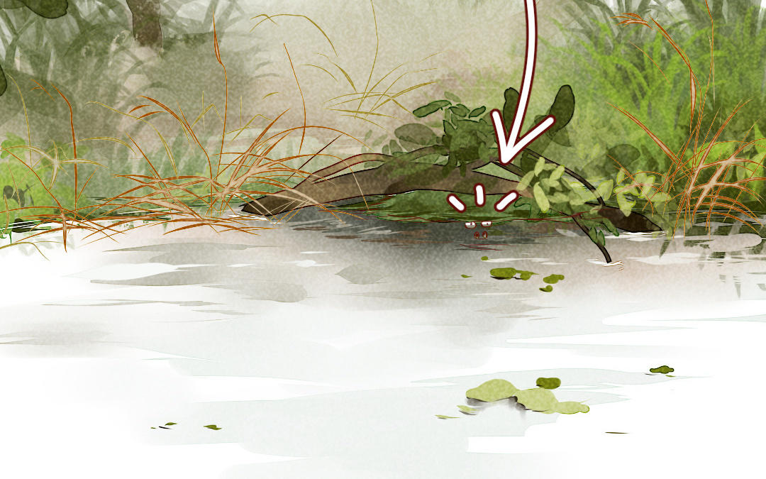 第33话  凶险(1/3)-第34话