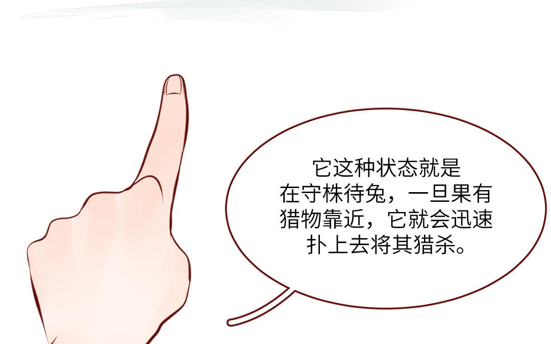 第33话  凶险(1/3)-第34话