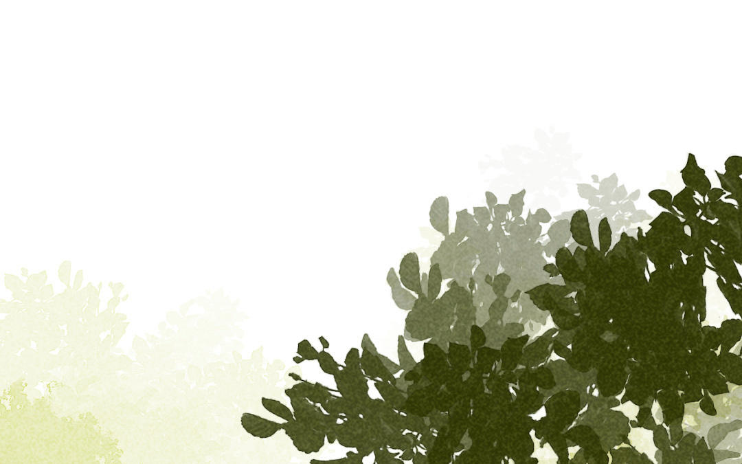 第41话  祖国(1/4)-第42话