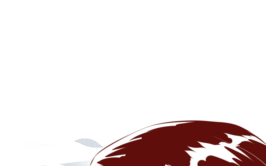 第5话  刺猬(1/5)-第6话