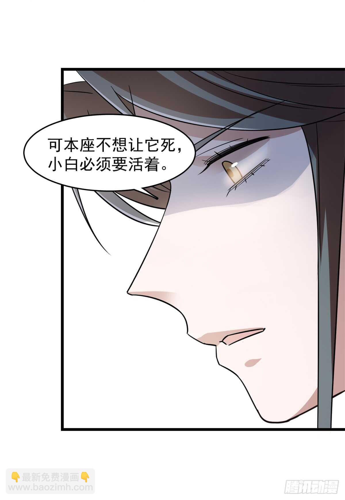 毒步天下：特工神醫小獸妃 - 第136話 - 6